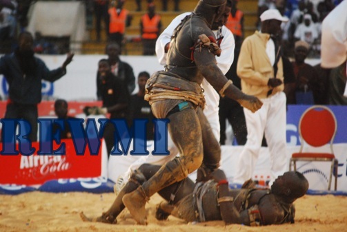 Combat : regardez la chute du combat Balla Gaye 2 face à Modou Lô