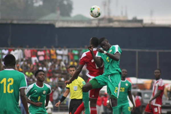 1er tour retour / Éliminatoires CHAN 2020 : Les Lions doivent se racheter