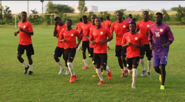 Les « Lions » en Guinée pour les éliminatoires du CHAN 2020 : Faire mentir l’adage «jamais deux sans trois»