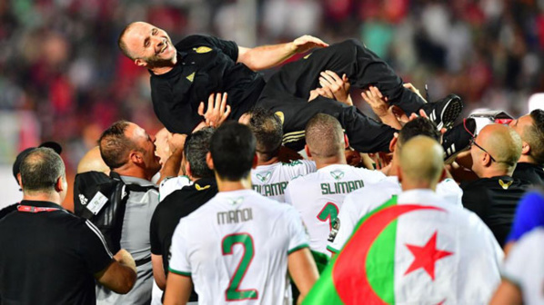 Caf Awards 2019 - Jamel Belmadi élu meilleur coach de l’année 2019