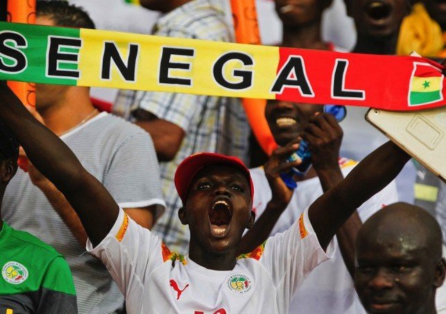 CHAN 2018 : Les lions locaux entament la phase de préparation ce lundi