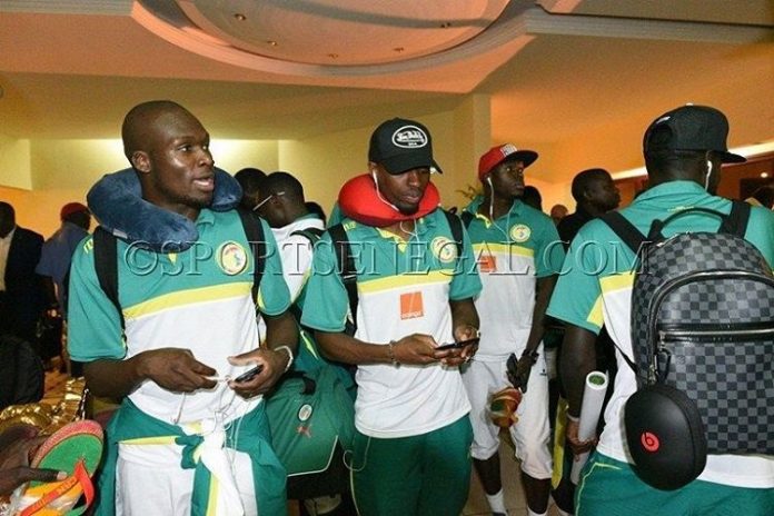 Les lions sont arrivés à Ouagadougou 