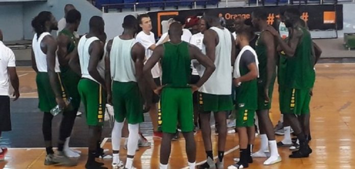 Eliminatoires Chine 2019 : Les Lions du Basket entrent en regroupement ce 16 février