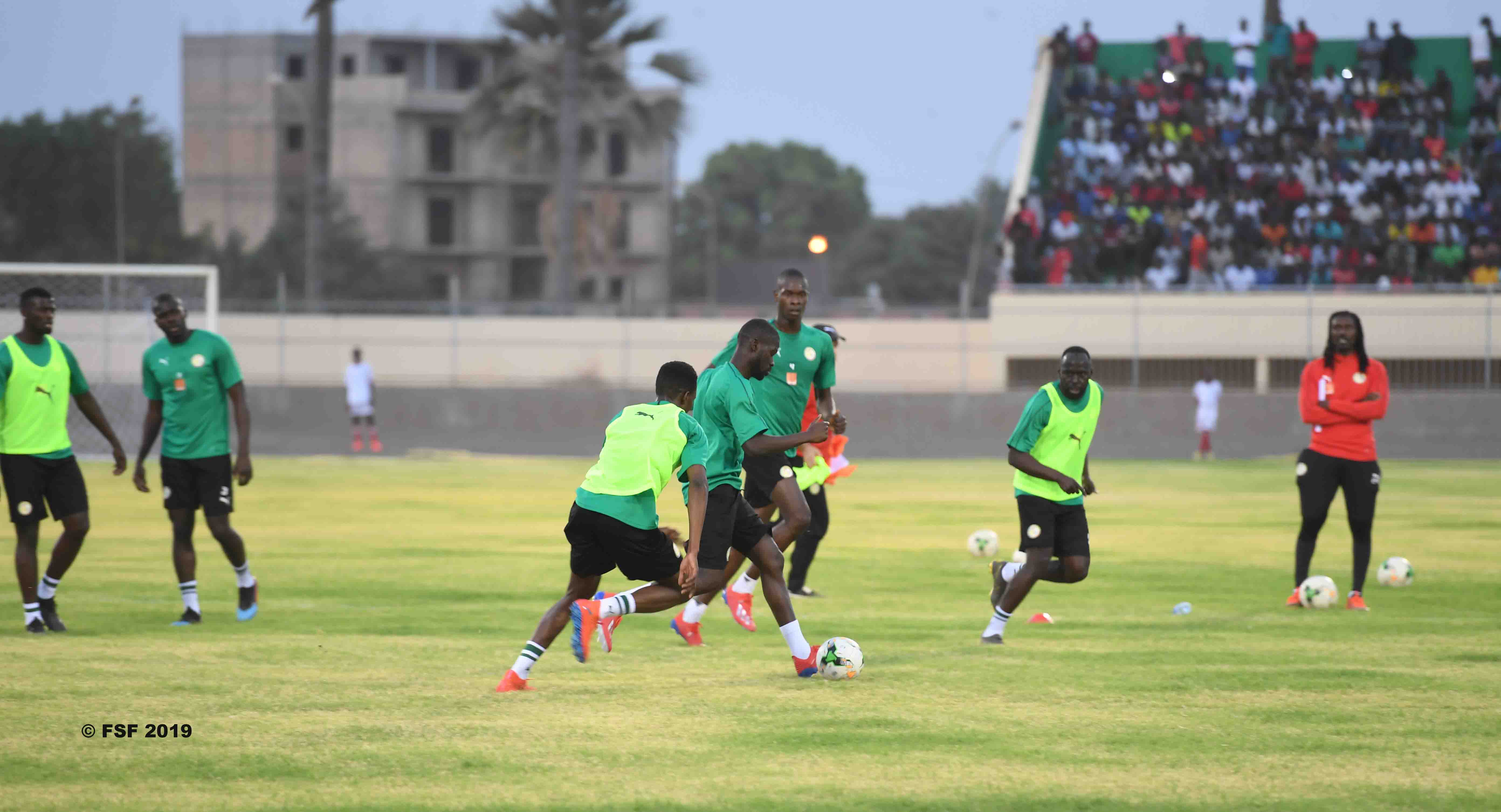 Can 2019/ Sénégal-Madagascar : Les lions, éviter d’être coiffés au poteau