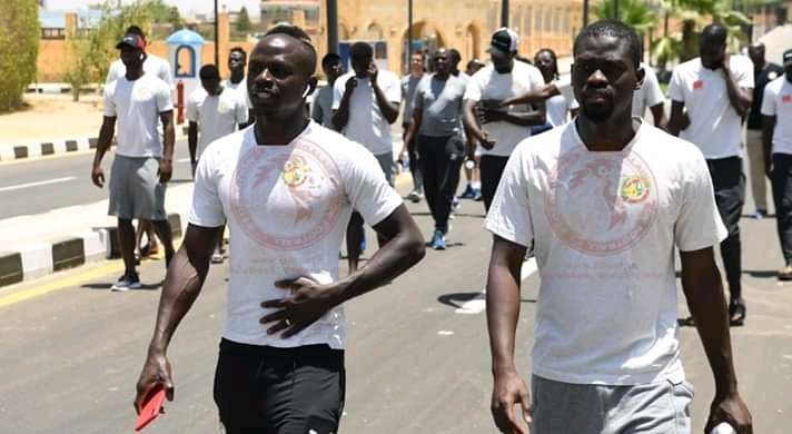 Sénégal vs Algérie : la promenade matinale des Lions avant le choc.