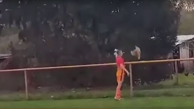 INSOLITE : Un joueur prend rouge pour avoir tué un poulet en plein match