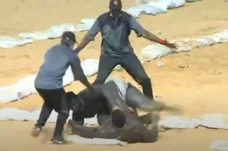 VIDEO-Vainqueur d’Abdou Diouf, Gris 2 sèche les larmes de Gris Bordeaux