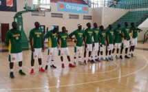 Préparation Afrobasket (Masculin): Les Lions battus par l'Espagne (80-69)