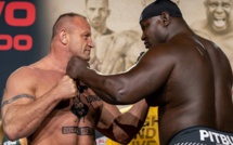 MMA: Bombardier affronte dans le ring contre Pudzianowski ce 23 octobre