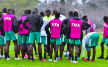 Coupe du monde U20 : Sénégal-Israël, défaite interdite pour les Lionceaux