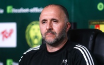 Sénégal-Algérie : Djamel Belmadi « le Sénégal aura un esprit revanchard »