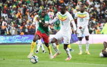 Historique Sénégal-Cameroun : les lions se tiennent de près